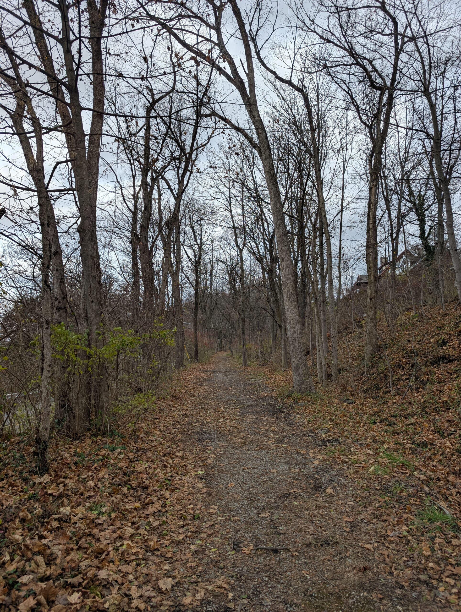 Welcome to Sound Mind Counseling